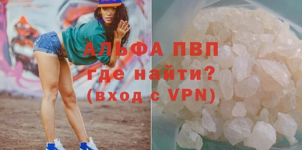 шишки Пестово