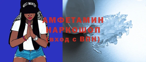 шишки Пестово