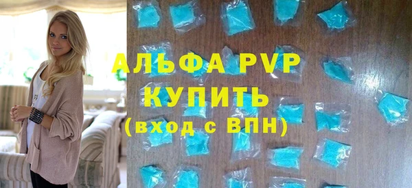 стаф Осинники