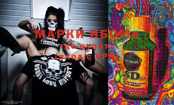 стаф Осинники