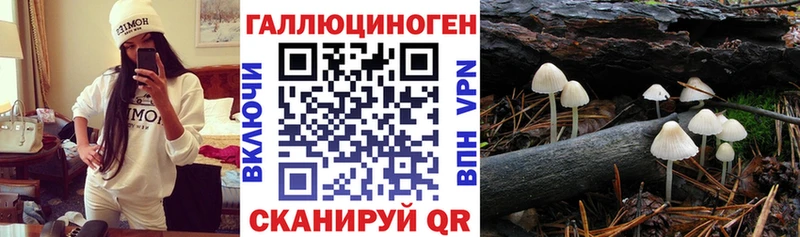 Псилоцибиновые грибы MAGIC MUSHROOMS мега зеркало Покачи купить закладку